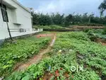 Kothamangalam chelad house plots for sale