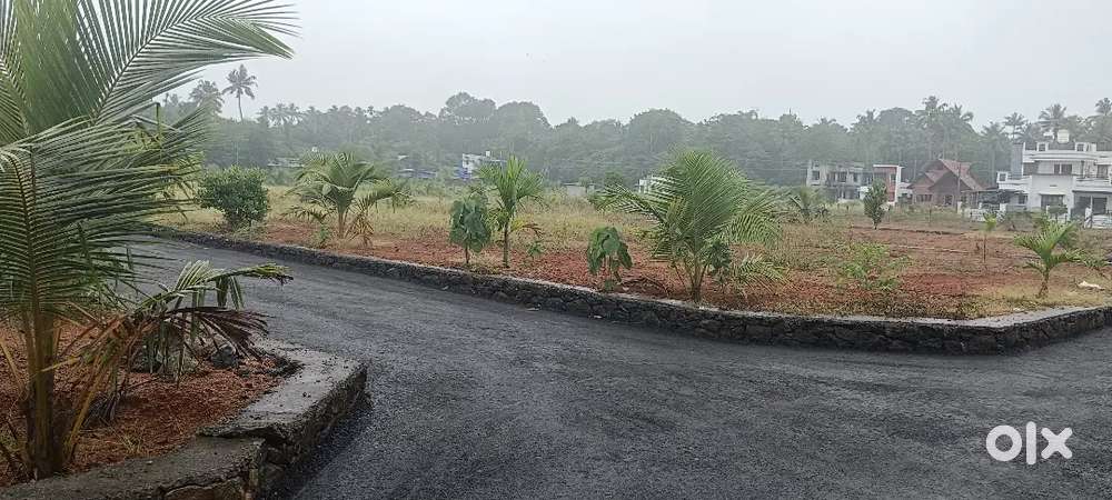 NEAR ANGAMALY APPOLLO HOSPITAL KARUKUTTY 5,6,8, 10 CENT PLOTS AVAILABL