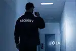 10 pm to 6 am