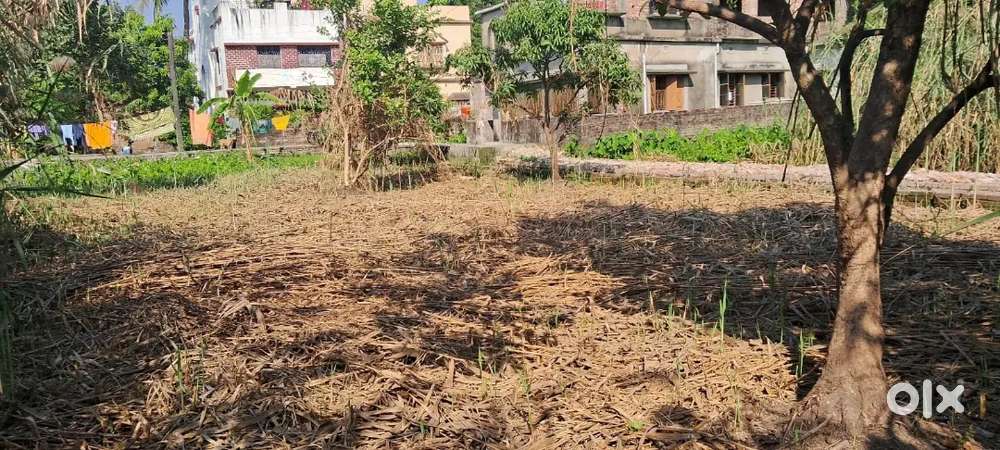 2 katha land selling