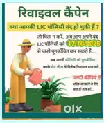 LIC services