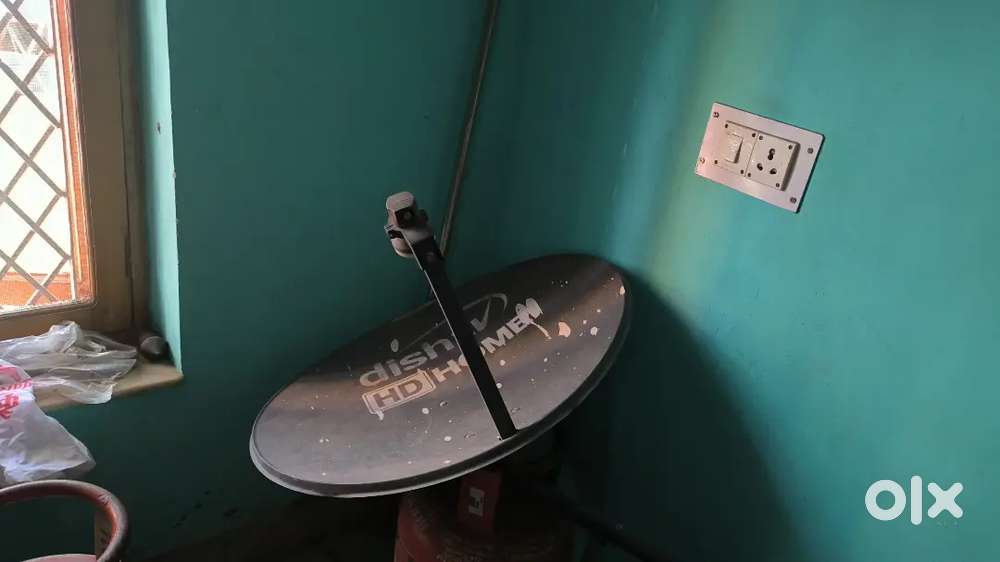 TV, Fridge, Microwave, Dish, Geyser, RO, table fan, new ceiling fan