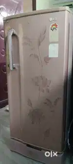 LG fridge single door