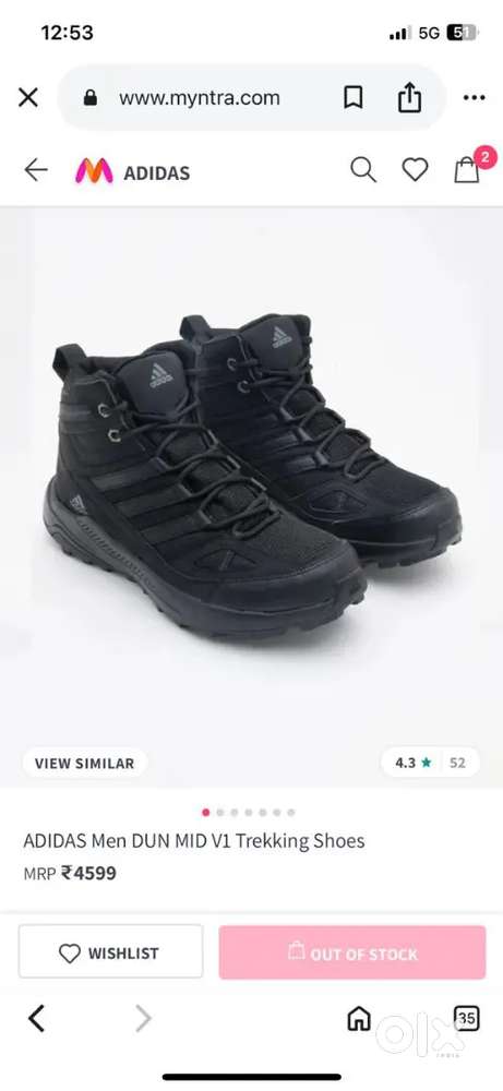 Adidas hiking shoes