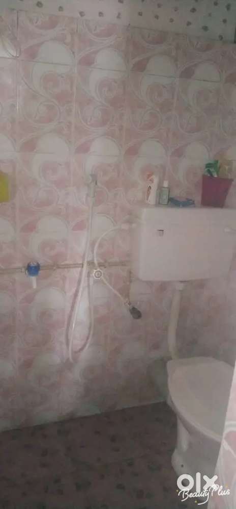 Paying guest for working women