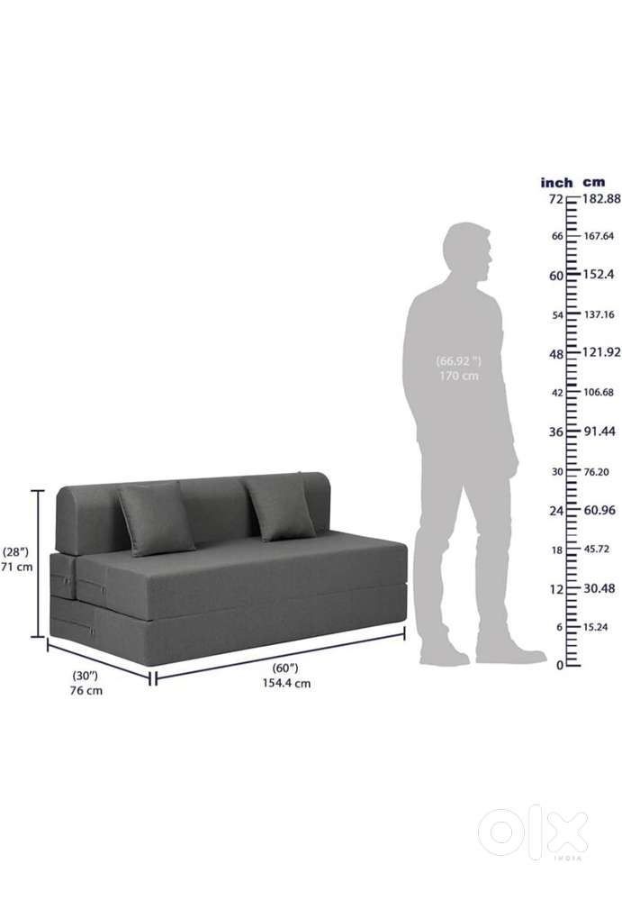 Wakefit Sofa cum bed with 2 cushion pillow