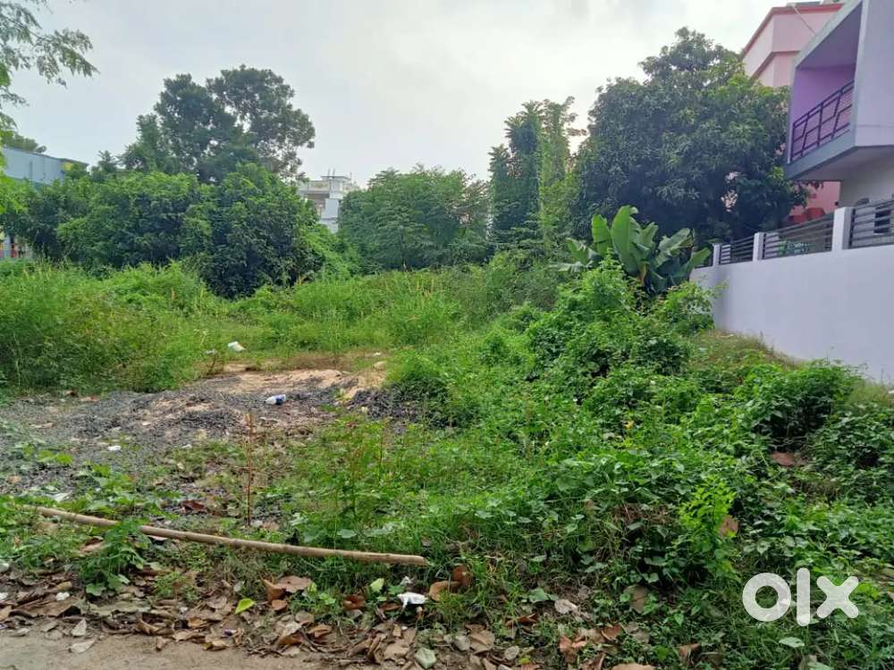 Ullash Nandini complex