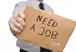 I'm looking for job