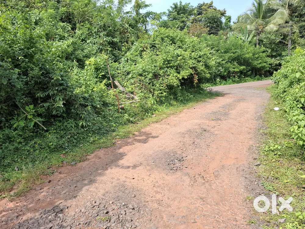 Orchid plot for sale 400sm2