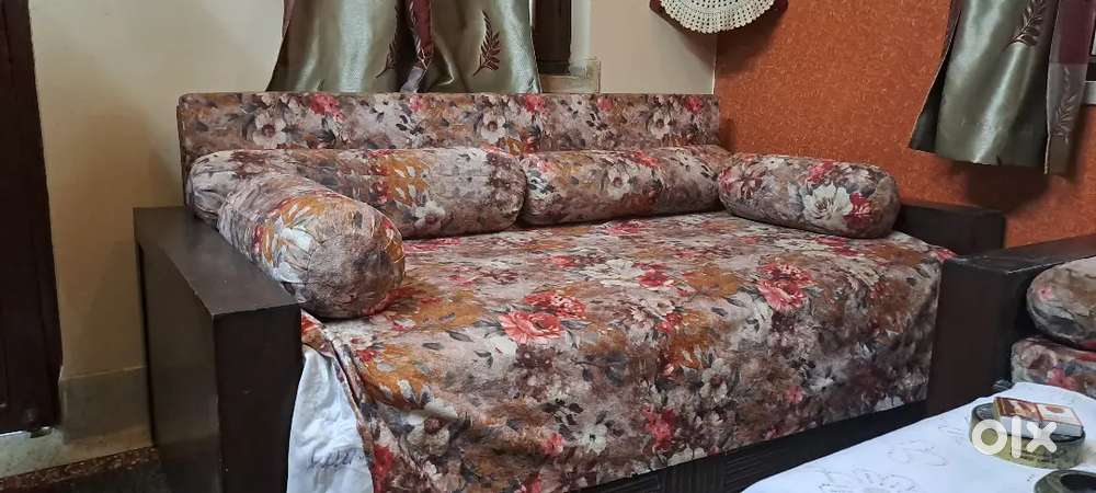 Sofa cum bed & Sofa