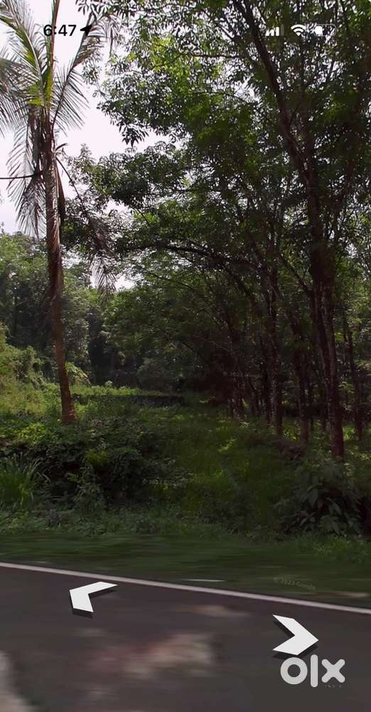 20 cents of residential plot for sale at lalam village palai