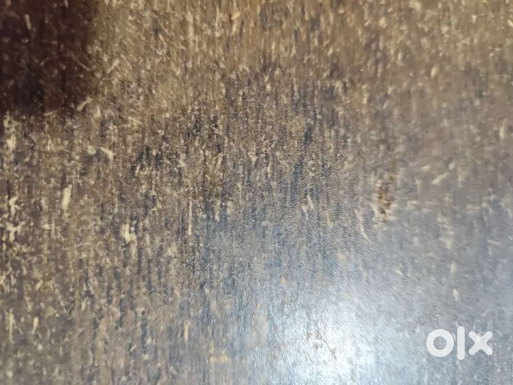 Helper for fastfood shop