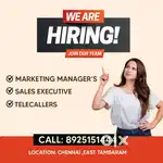 Marketing Head, Manager, Executive