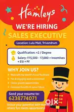 Urgent Vacancies for Sales executive.
