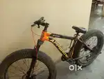 Best cycle