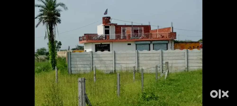 Sona near Delhi Mumbai Expressway plot