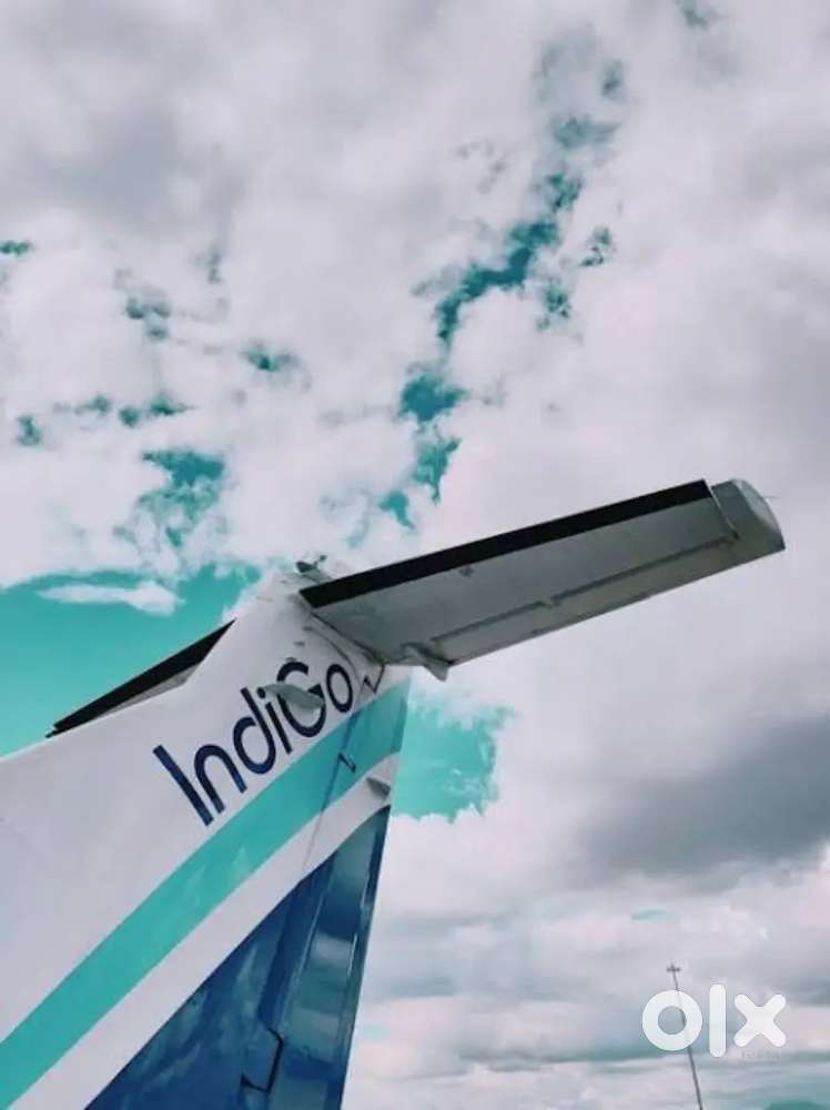 Hurry up vacancies for Ground staff near airport apply fast