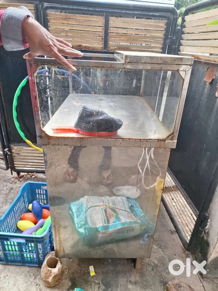 Counter hotel parcil panipuri tiffen fruits