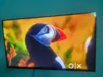 40in led Sony full hd smart android tv sales
