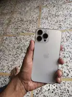 13 pro max INDIAN