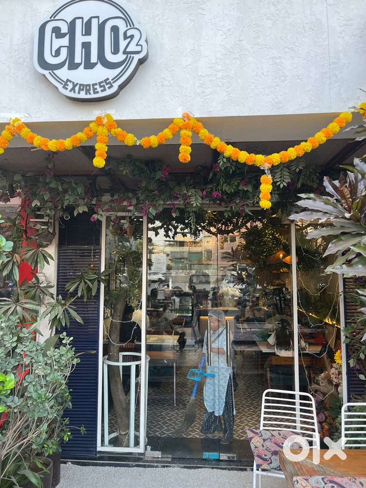 Indian barista fast food, chef ki jarurat hai cafe per kaam karne ke