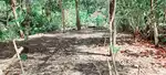 7 cent plot cherthala പെരുമ്പാറ കവലക്ക് വശം