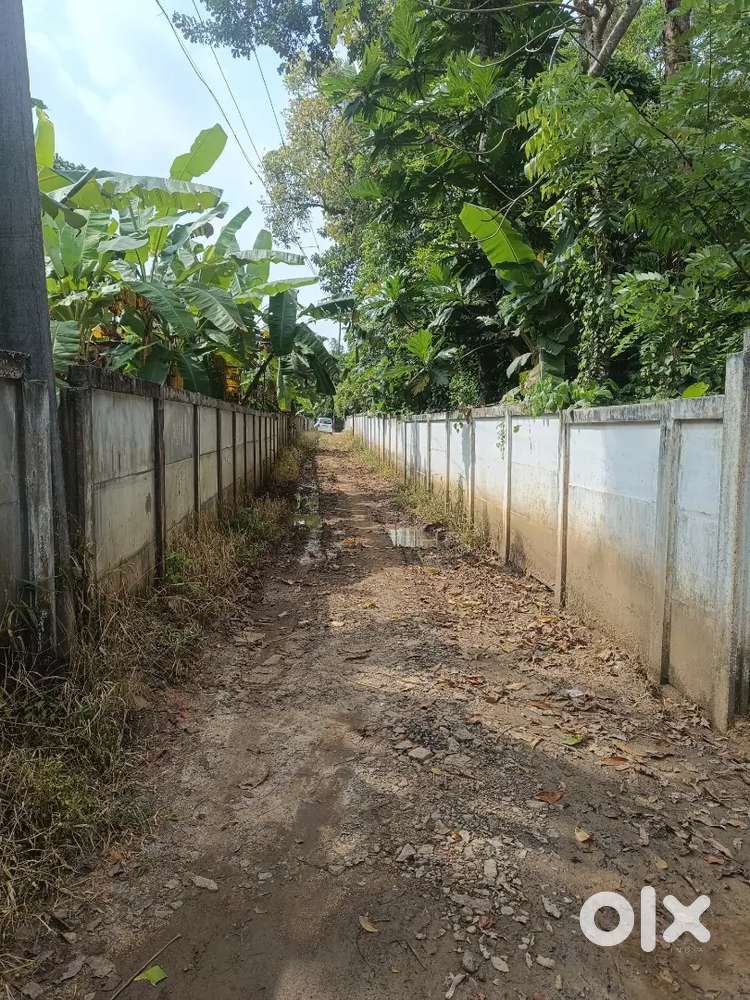 29 Cent ഭൂമി വില്പനയ്ക്ക്