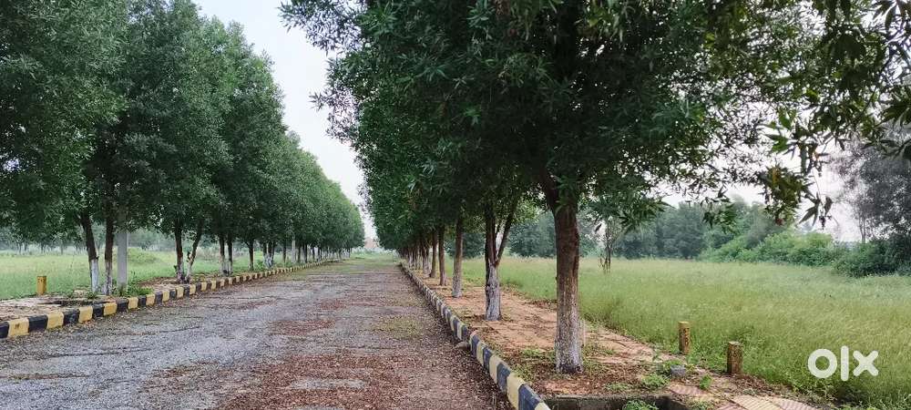 Mallapur Village , Kothur Mandal