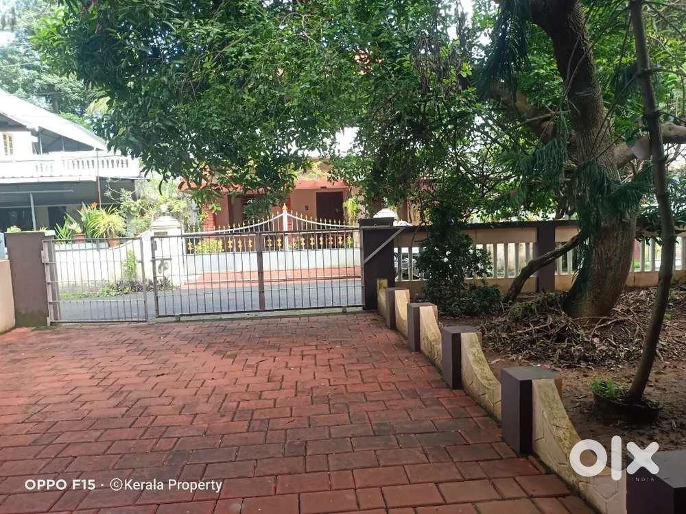 15 Cent with an old 3 Bhk house Paravattani Thrissur