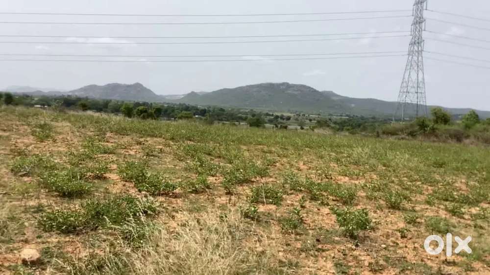 DKT Agriculture Land near Chinthaparthy
