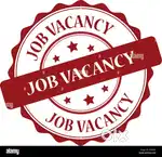 Accountant for daily accounts through google sheets and ms office.