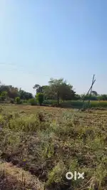 open bungalow plots for sale at prime location hinjewadi phase 2
