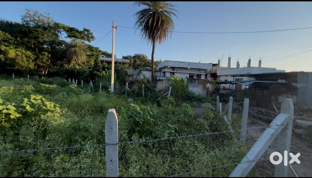 Farm land for sale Sadasivpet