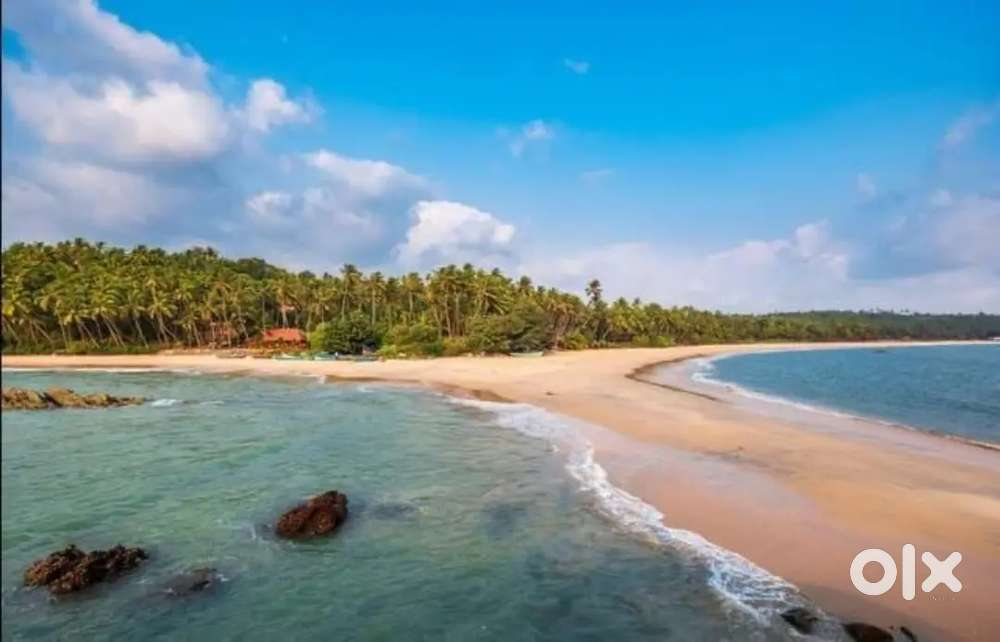 Manager for the Beach Resort