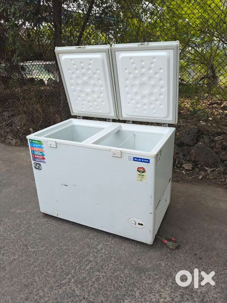Bluestar deep freezer/320L