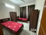 pg for boys opp bestech tower just 100 metres distance,luxury rooms