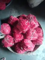 Altakpat (Red) – Bulk Sale, 200 / 500 / 1000 pieces, Good Quality