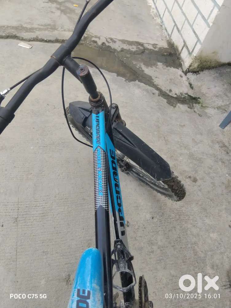 Cycle company upgrade