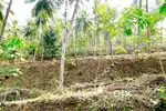 Land for Sale in Chembinodu