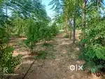 Plot for sale near Yadgiri gutta