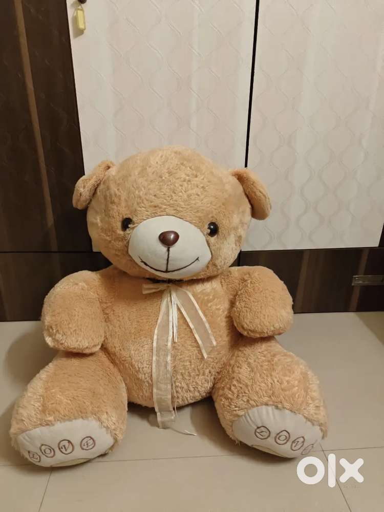 Teddy Bear