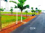 MINJUR  ( VANNIPAKKAM  ) DTCP APPROVED 100% BANK LOAN
