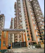 We are dealing in rental property in noida and noida extension
