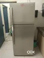 LG fridge dubal door