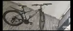 CORRADO 29 - GEAR CYCLE