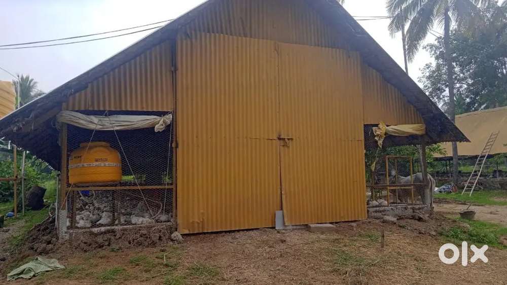 Poultry Farm full setup