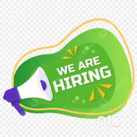 2 male fresher manual cashier