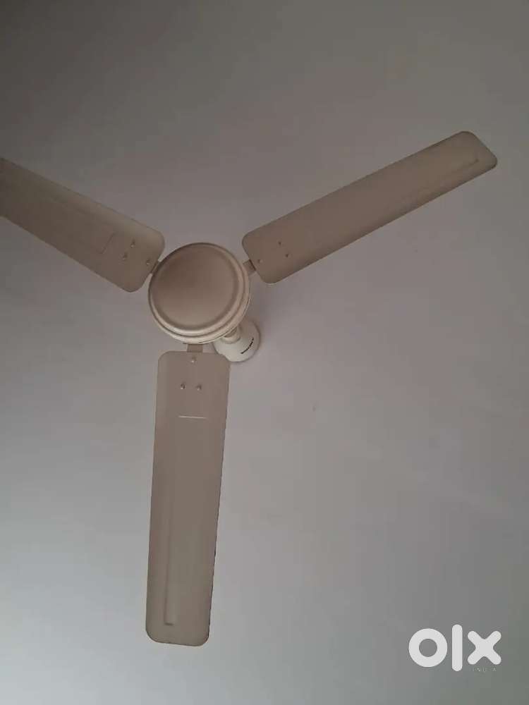Fan for room or kitchen