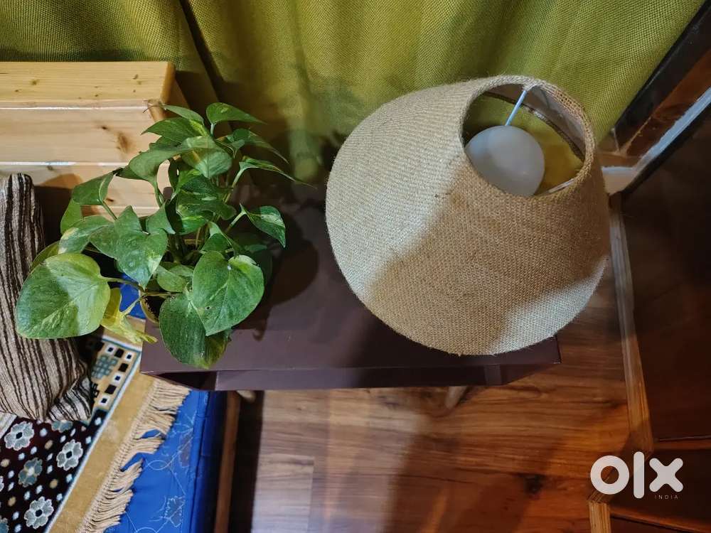 Female caretaker for Airbnb