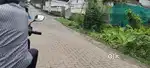 Aluva town tar road frondage 4 cent
